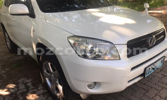 Tenga Tsaru Toyota RAV4 Chena Mota in Maputo in Maputo