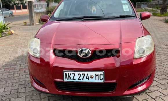 Buy Used Toyota Auris Red Car in Maputo in Maputo Buy Used Toyota Auris Red Car in Maputo in Maputo