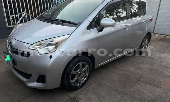 Buy Used Toyota Ractis Other Car in Maputo in Maputo