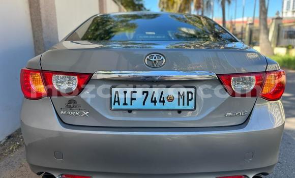 Tenga Tsaru Toyota Mark X Zvimwe Mota in Maputo in Maputo Tenga Tsaru Toyota Mark X Zvimwe Mota in Maputo in Maputo