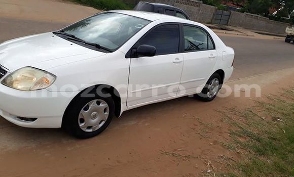 Tenga Tsaru Toyota Corolla Chena Mota in Maputo in Maputo Tenga Tsaru Toyota Corolla Chena Mota in Maputo in Maputo