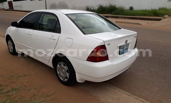 Tenga Tsaru Toyota Corolla Chena Mota in Maputo in Maputo Tenga Tsaru Toyota Corolla Chena Mota in Maputo in Maputo