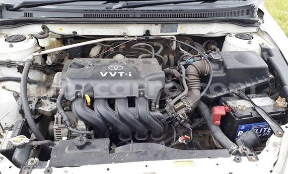 Tenga Tsaru Toyota Corolla Chena Mota in Maputo in Maputo Tenga Tsaru Toyota Corolla Chena Mota in Maputo in Maputo