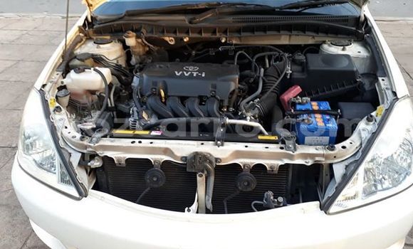 Tenga Tsaru Toyota Allion Chena Mota in Maputo in Maputo Tenga Tsaru Toyota Allion Chena Mota in Maputo in Maputo