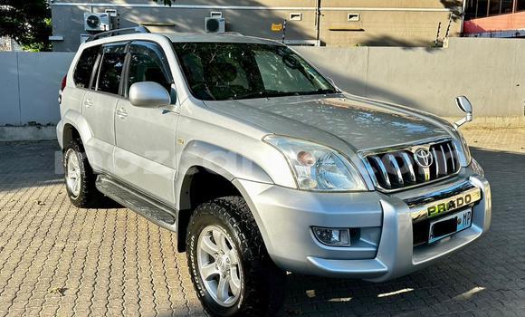 Comprar Usado Toyota Prado De outros Carro em Maputo em Maputo Comprar Usado Toyota Prado De outros Carro em Maputo em Maputo