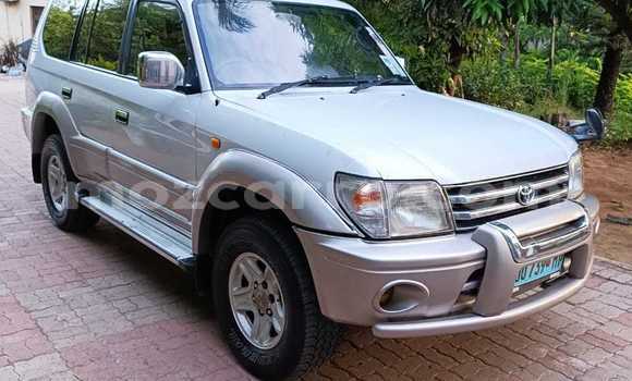 Buy Used Toyota Land Cruiser Silver Car in Maputo in Maputo Buy Used Toyota Land Cruiser Silver Car in Maputo in Maputo