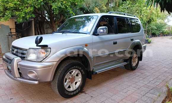 Tenga Tsaru Toyota Prado Chena Mota in Maputo in Maputo