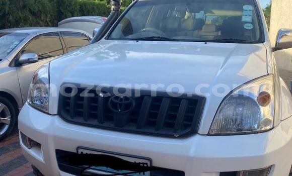 Tenga Tsaru Toyota Land Cruiser Prado Chena Mota in Maputo in Maputo