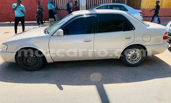 Buy Used Toyota Ractis Silver Car in Maputo in Maputo Buy Used Toyota Ractis Silver Car in Maputo in Maputo