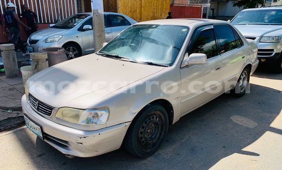 Buy Used Toyota Ractis Silver Car in Maputo in Maputo Buy Used Toyota Ractis Silver Car in Maputo in Maputo