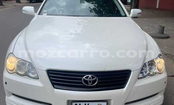 Tenga Tsaru Toyota Mark X Chena Mota in Maputo in Maputo