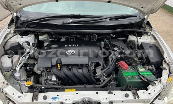 Tenga Tsaru Toyota Axio Chena Mota in Maputo in Maputo Tenga Tsaru Toyota Axio Chena Mota in Maputo in Maputo