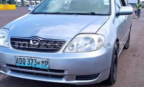 Comprar Usado Toyota Allex Prata Carro em Maputo em Maputo