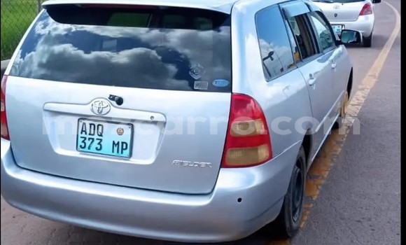 Comprar Usado Toyota Allex Prata Carro em Maputo em Maputo Comprar Usado Toyota Allex Prata Carro em Maputo em Maputo