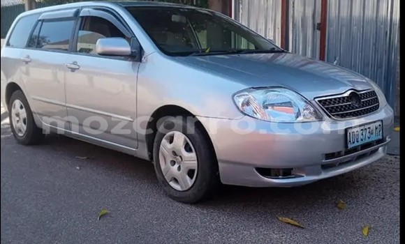 Comprar Usado Toyota Allex Prata Carro em Maputo em Maputo Comprar Usado Toyota Allex Prata Carro em Maputo em Maputo