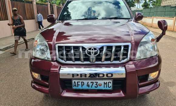 Tenga Tsaru Toyota Prado Zvimwe Mota in Mocambique in Nampula