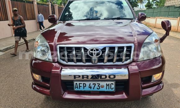 Buy Used Toyota Prado Other Car in Maputo in Maputo Buy Used Toyota Prado Other Car in Maputo in Maputo