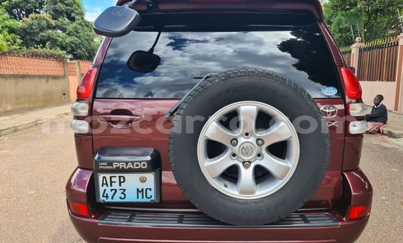 Buy Used Toyota Prado Other Car in Maputo in Maputo Buy Used Toyota Prado Other Car in Maputo in Maputo