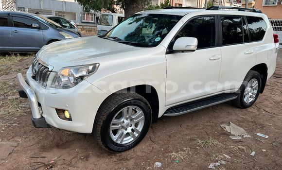 Buy Used Toyota Land Cruiser Prado White Car in Maputo in Maputo Buy Used Toyota Land Cruiser Prado White Car in Maputo in Maputo