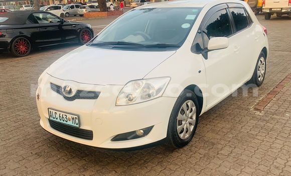 Tenga Tsaru Toyota Auris Chena Mota in Maputo in Maputo Tenga Tsaru Toyota Auris Chena Mota in Maputo in Maputo