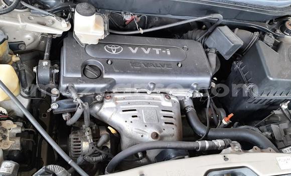 Tenga Tsaru Toyota Harrier Bhurawuni Mota in Maputo in Maputo Tenga Tsaru Toyota Harrier Bhurawuni Mota in Maputo in Maputo