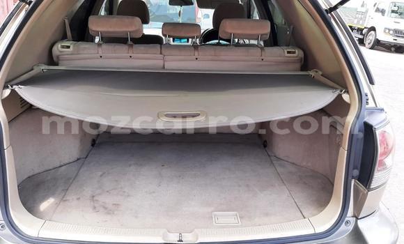 Comprar Usado Toyota Harrier Castanho Carro em Maputo em Maputo Comprar Usado Toyota Harrier Castanho Carro em Maputo em Maputo