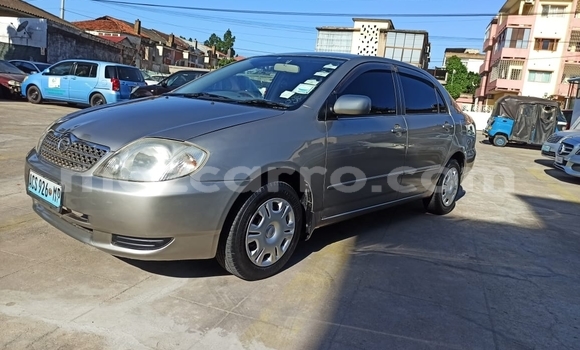 Nunua Ilio tumika Toyota Corolla Brown Gari ndani ya Maputo nchini Maputo Nunua Ilio tumika Toyota Corolla Brown Gari ndani ya Maputo nchini Maputo