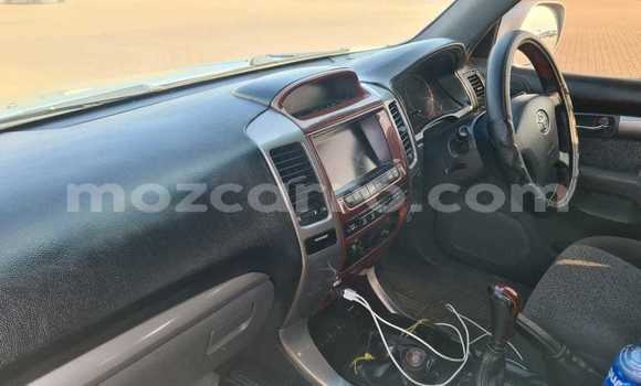 Buy Used Toyota Hilux Brown Car in Maputo in Maputo Buy Used Toyota Hilux Brown Car in Maputo in Maputo