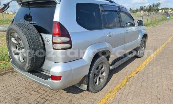 Buy Used Toyota Hilux Brown Car in Maputo in Maputo Buy Used Toyota Hilux Brown Car in Maputo in Maputo