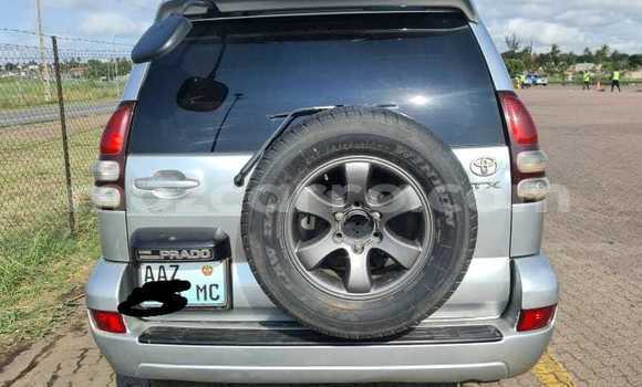 Buy Used Toyota Hilux Brown Car in Maputo in Maputo Buy Used Toyota Hilux Brown Car in Maputo in Maputo