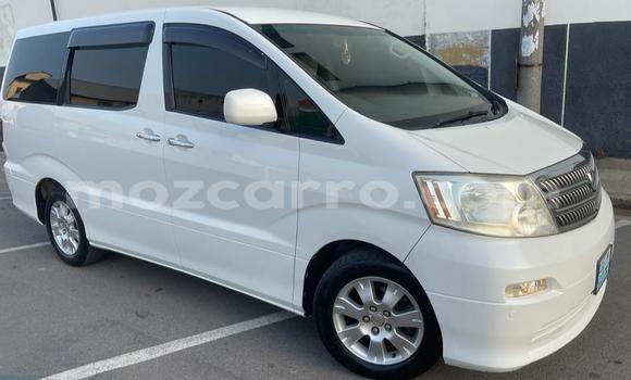 Nunua Ilio tumika Toyota Alphard Nyeupe Gari ndani ya Maputo nchini Maputo Nunua Ilio tumika Toyota Alphard Nyeupe Gari ndani ya Maputo nchini Maputo