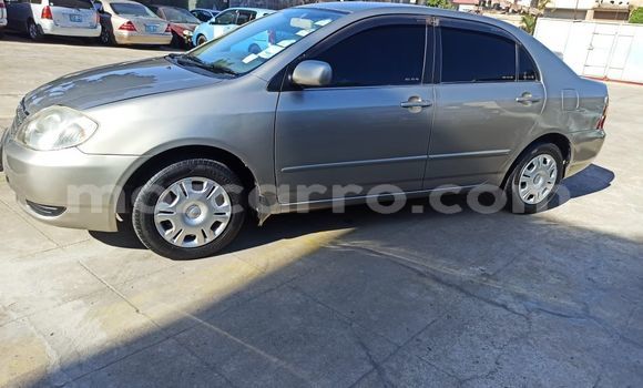 Nunua Ilio tumika Toyota Corolla Brown Gari ndani ya Maputo nchini Maputo Nunua Ilio tumika Toyota Corolla Brown Gari ndani ya Maputo nchini Maputo