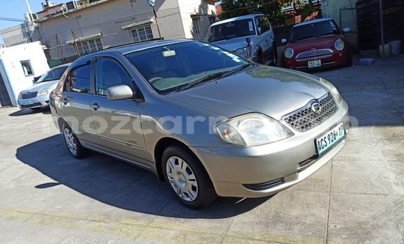 Nunua Ilio tumika Toyota Corolla Brown Gari ndani ya Maputo nchini Maputo Nunua Ilio tumika Toyota Corolla Brown Gari ndani ya Maputo nchini Maputo