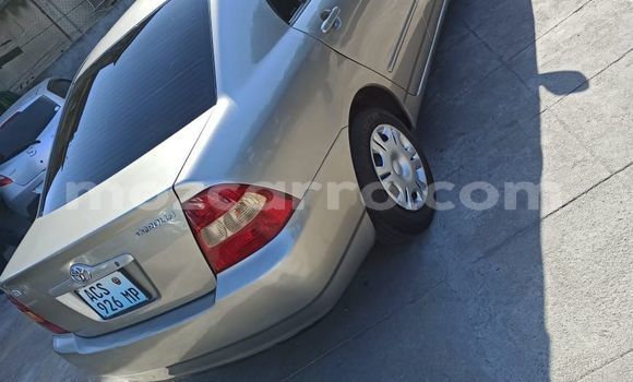 Nunua Ilio tumika Toyota Corolla Brown Gari ndani ya Maputo nchini Maputo Nunua Ilio tumika Toyota Corolla Brown Gari ndani ya Maputo nchini Maputo
