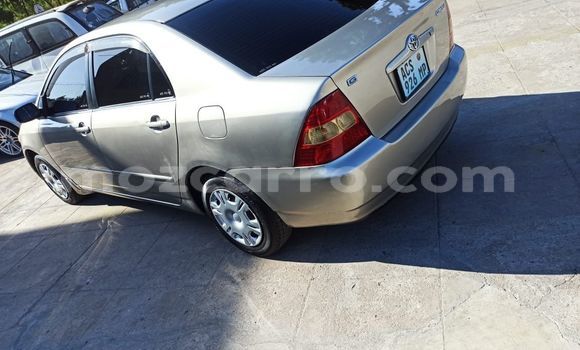 Nunua Ilio tumika Toyota Corolla Brown Gari ndani ya Maputo nchini Maputo Nunua Ilio tumika Toyota Corolla Brown Gari ndani ya Maputo nchini Maputo