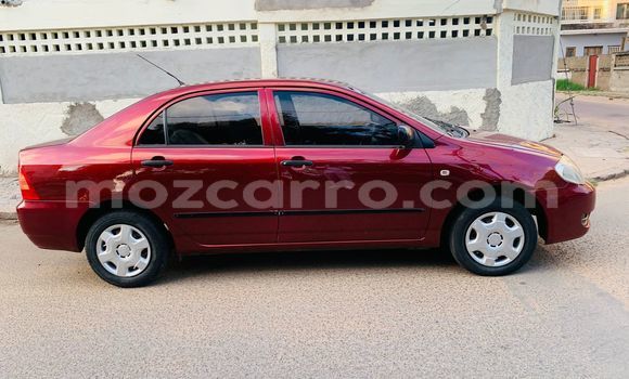 Nunua Ilio tumika Toyota Corolla Nyekundu Gari ndani ya Maputo nchini Maputo Nunua Ilio tumika Toyota Corolla Nyekundu Gari ndani ya Maputo nchini Maputo