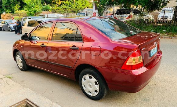 Nunua Ilio tumika Toyota Corolla Nyekundu Gari ndani ya Maputo nchini Maputo Nunua Ilio tumika Toyota Corolla Nyekundu Gari ndani ya Maputo nchini Maputo