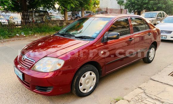 Nunua Ilio tumika Toyota Corolla Nyekundu Gari ndani ya Maputo nchini Maputo Nunua Ilio tumika Toyota Corolla Nyekundu Gari ndani ya Maputo nchini Maputo