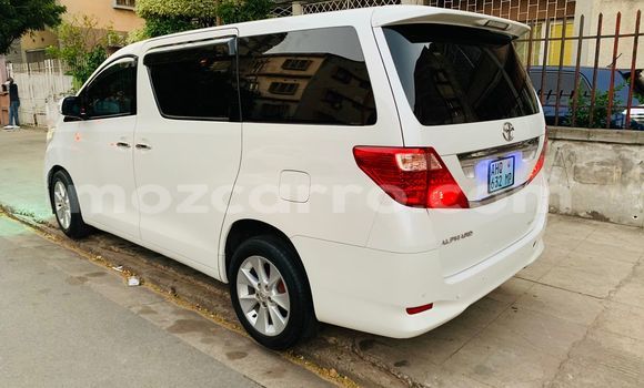Comprar Usado Toyota Alphard Branco Carro em Maputo em Maputo Comprar Usado Toyota Alphard Branco Carro em Maputo em Maputo