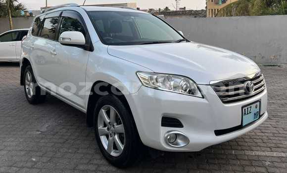Comprar Usado Toyota Vanguard Branco Carro em Maputo em Maputo