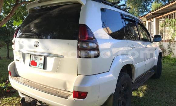 Comprar Usado Toyota Land Cruiser Prado Branco Carro em Maputo em Maputo Comprar Usado Toyota Land Cruiser Prado Branco Carro em Maputo em Maputo