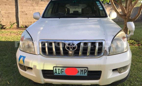 Comprar Usado Toyota Land Cruiser Prado Branco Carro em Maputo em Maputo Comprar Usado Toyota Land Cruiser Prado Branco Carro em Maputo em Maputo