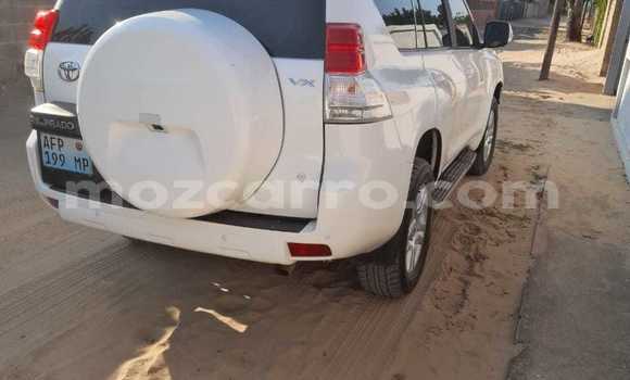 Tenga Tsaru Toyota Land Cruiser Prado Chena Mota in Maputo in Maputo Tenga Tsaru Toyota Land Cruiser Prado Chena Mota in Maputo in Maputo