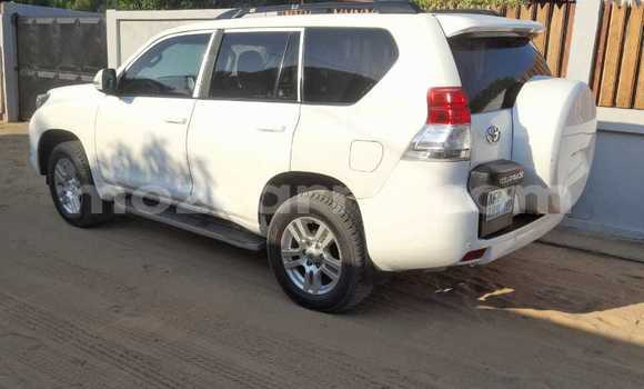 Tenga Tsaru Toyota Land Cruiser Prado Chena Mota in Maputo in Maputo Tenga Tsaru Toyota Land Cruiser Prado Chena Mota in Maputo in Maputo