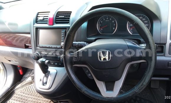 Buy Used Honda CR-V White Car in Maputo in Maputo Buy Used Honda CR-V White Car in Maputo in Maputo