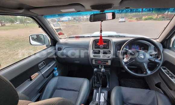Comprar Usado Nissan Hardbody Branco Carro em Maputo em Maputo Comprar Usado Nissan Hardbody Branco Carro em Maputo em Maputo