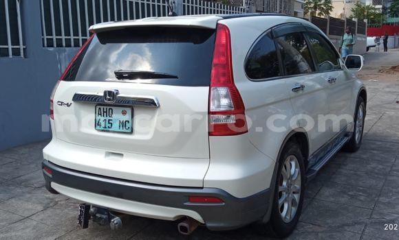 Tenga Tsaru Honda CR-V Chena Mota in Maputo in Maputo Tenga Tsaru Honda CR-V Chena Mota in Maputo in Maputo