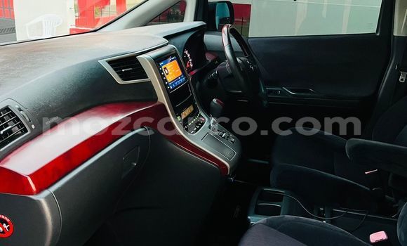 Tenga Tsaru Toyota Alphard Nhema Mota in Maputo in Maputo Tenga Tsaru Toyota Alphard Nhema Mota in Maputo in Maputo