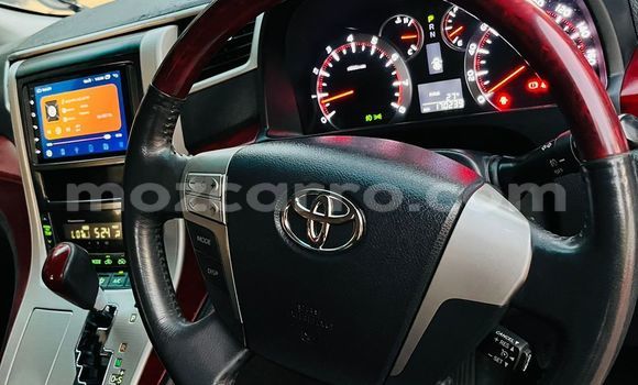 Tenga Tsaru Toyota Alphard Nhema Mota in Maputo in Maputo Tenga Tsaru Toyota Alphard Nhema Mota in Maputo in Maputo