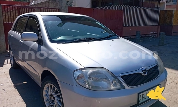 Buy Used Toyota Runx Silver Car in Maputo in Maputo Buy Used Toyota Runx Silver Car in Maputo in Maputo